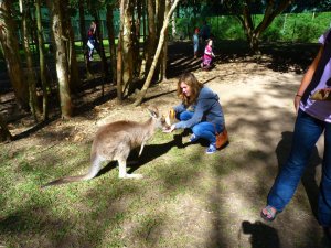 Me feeding a kangaroo in 'Roo Heaven'